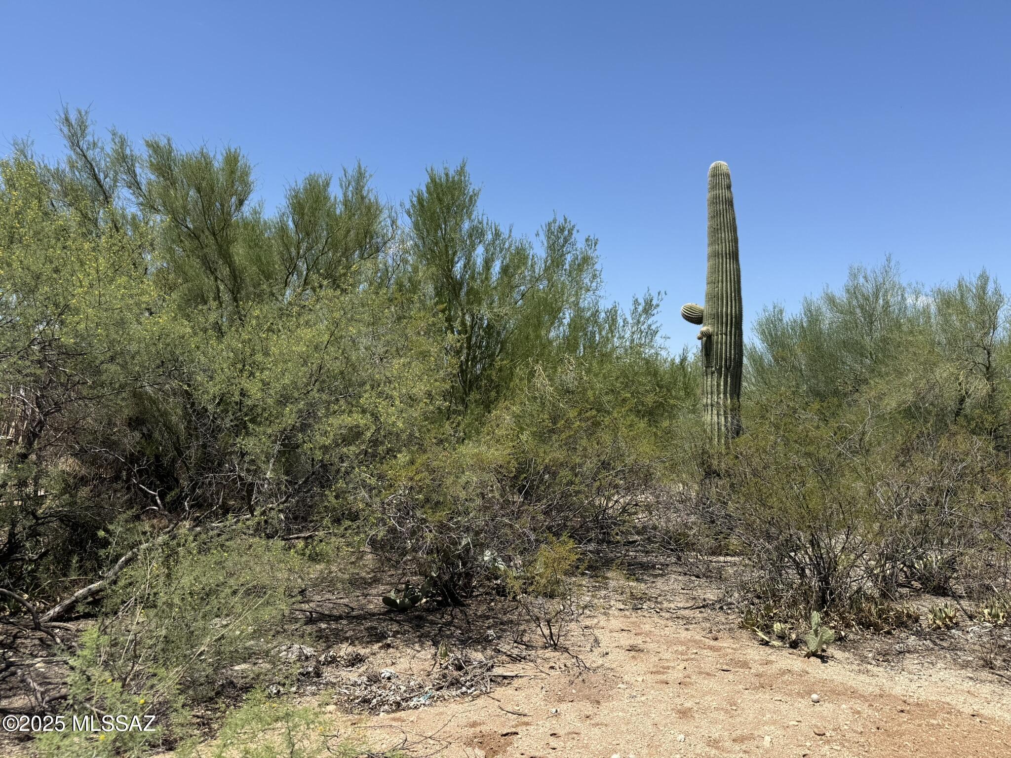 1450 S Corsica Place