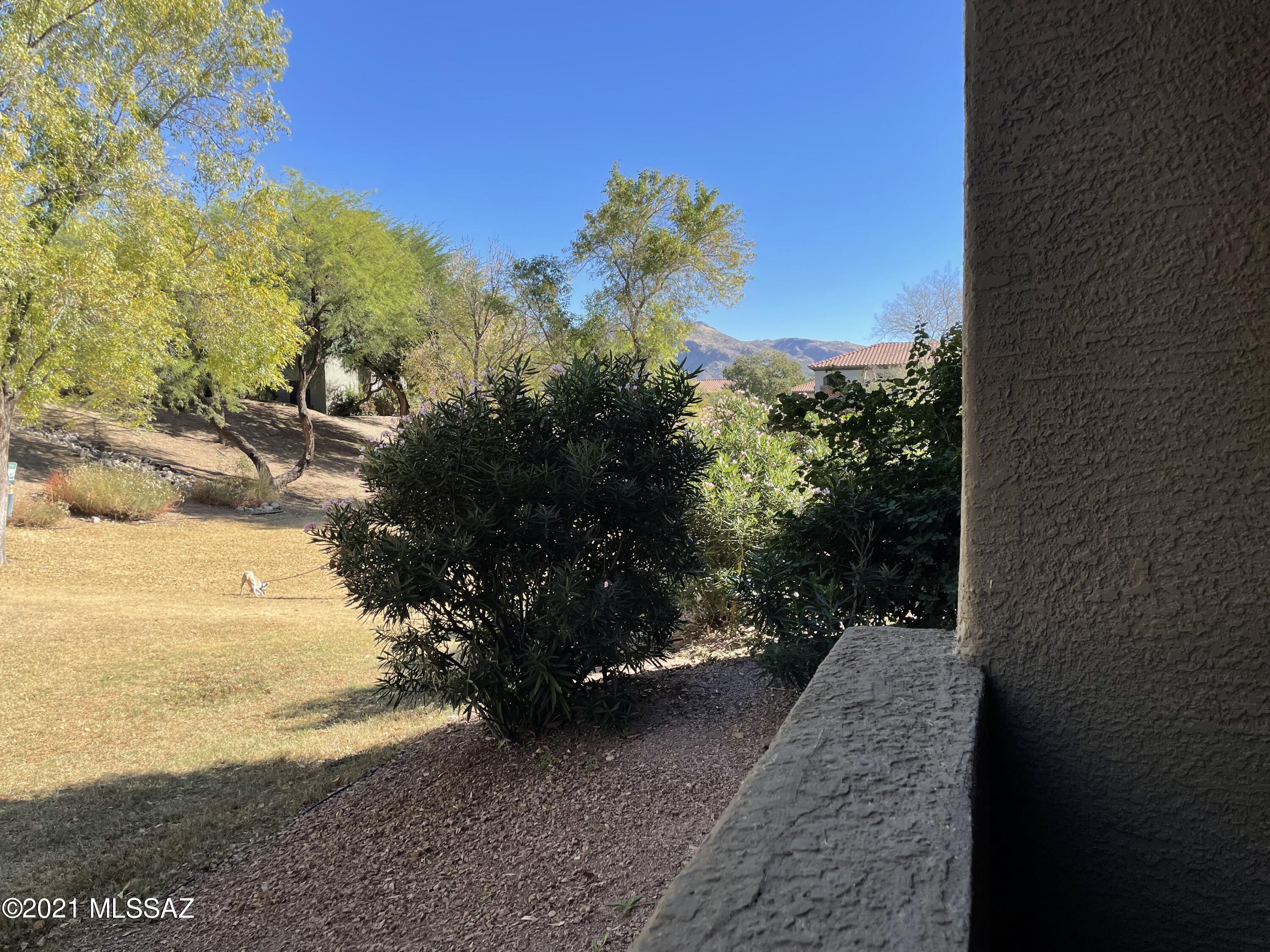 Tucson