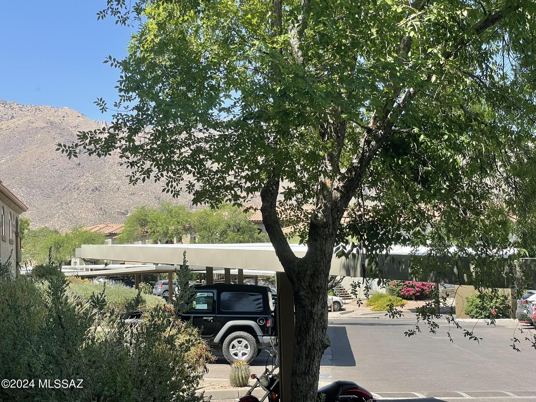 5751 N Kolb Road Unit: 20102