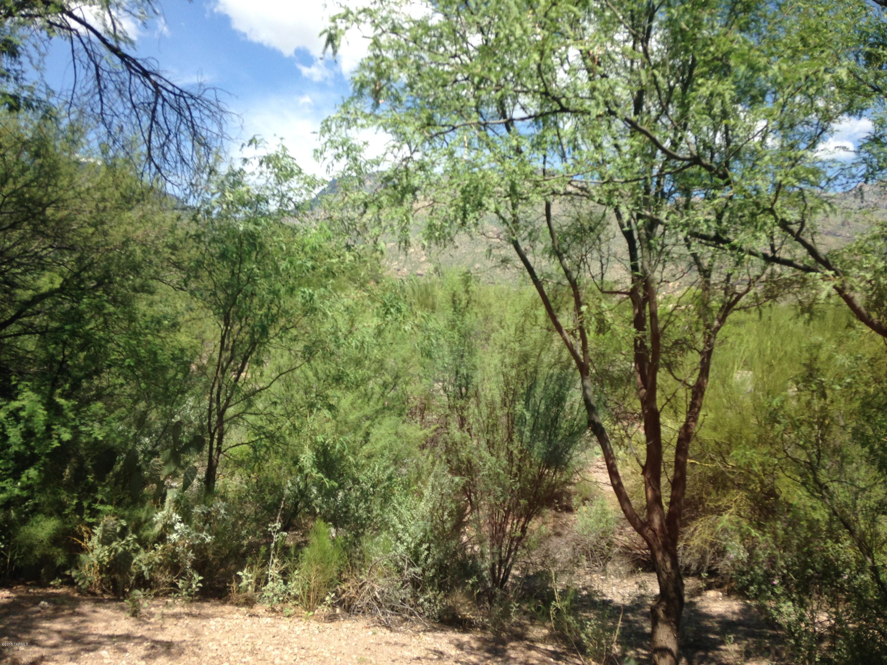 5751 N Kolb Road 34103