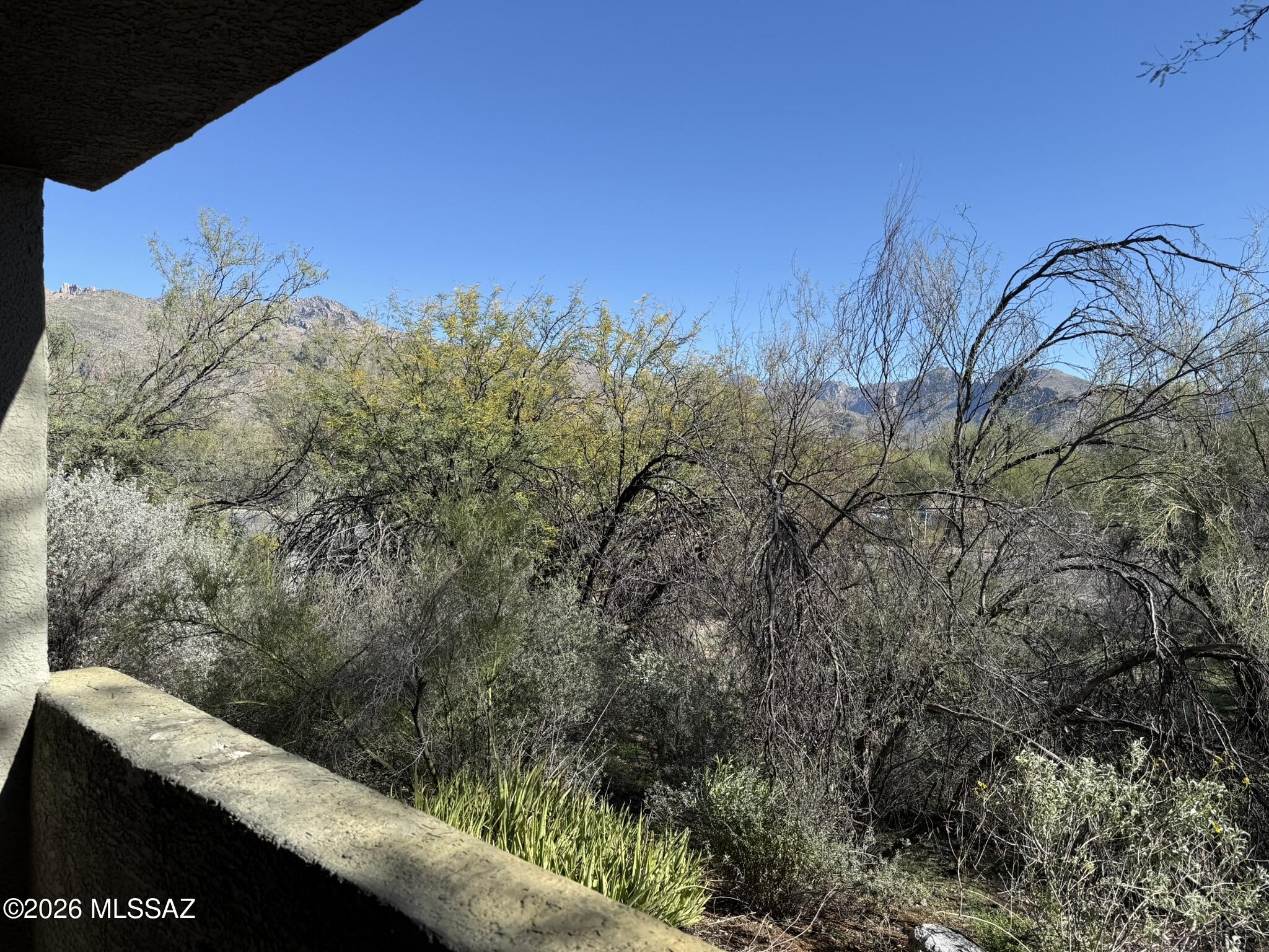 5751 N Kolb Road 34103