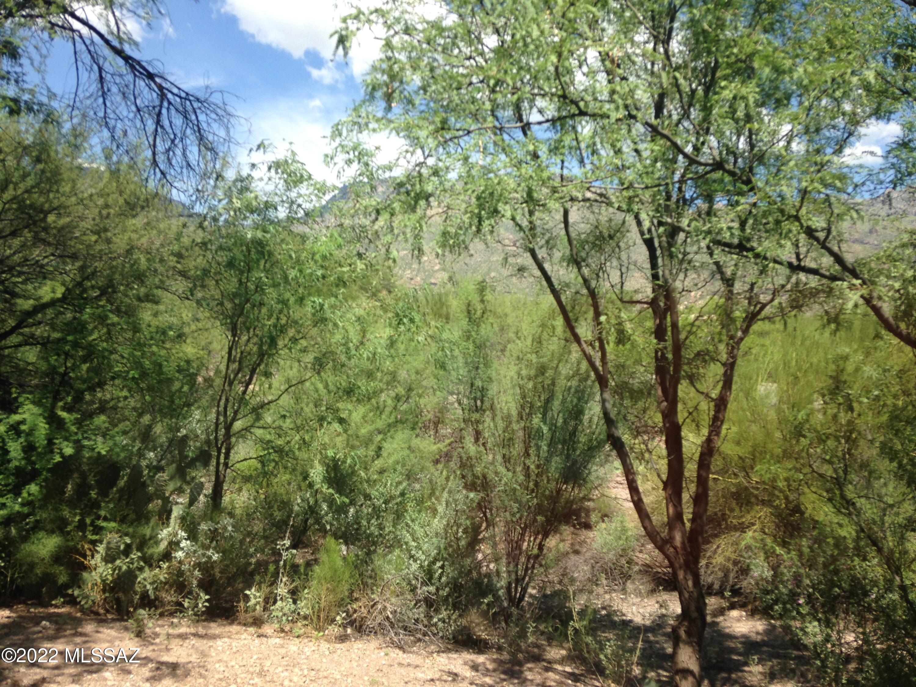 5751 N Kolb Road 34103