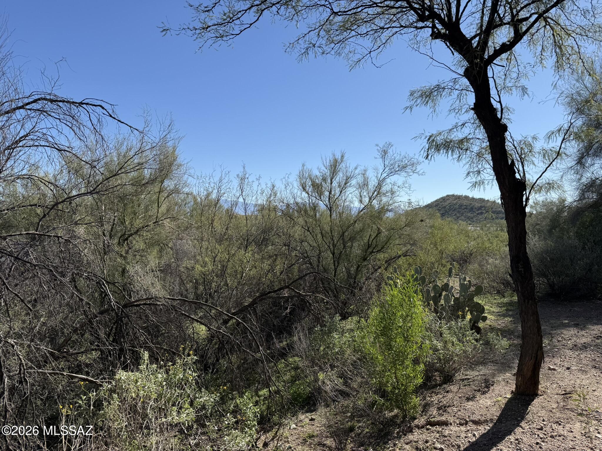 5751 N Kolb Road 34103