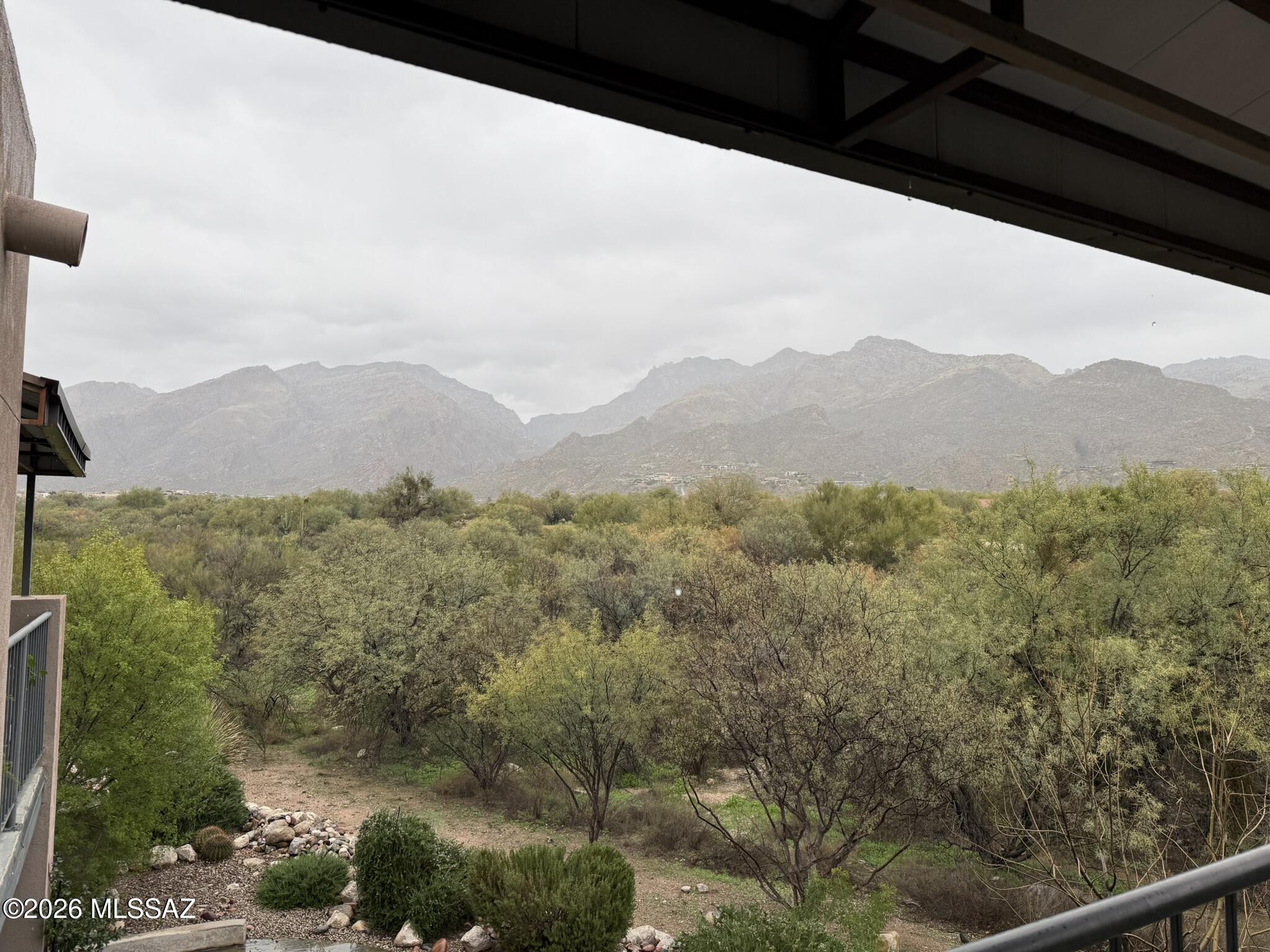 5800 N Kolb Road 6232