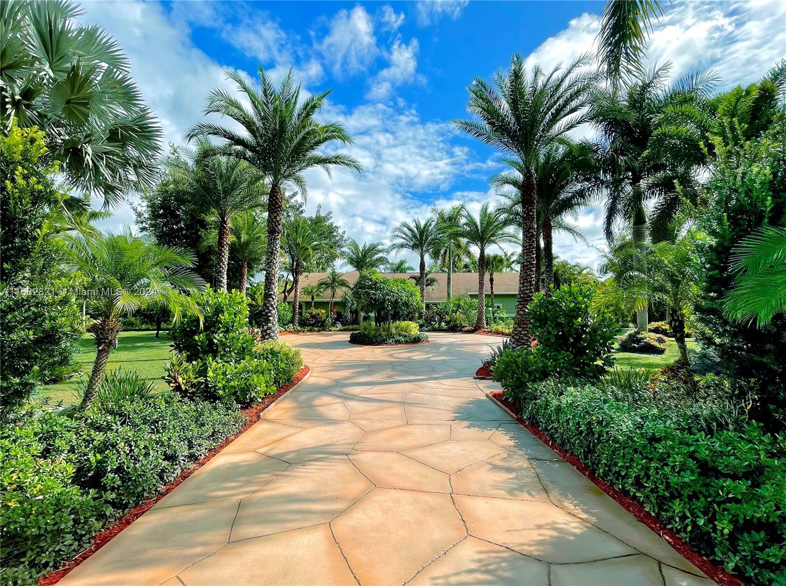 Curved driveway leading to a single-story home, framed by tall palms and dense tropical landscaping.