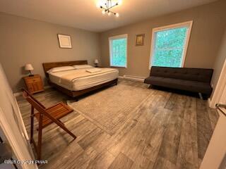 147 Safro Court