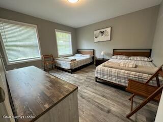 147 Safro Court