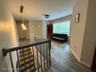 147 Safro Court