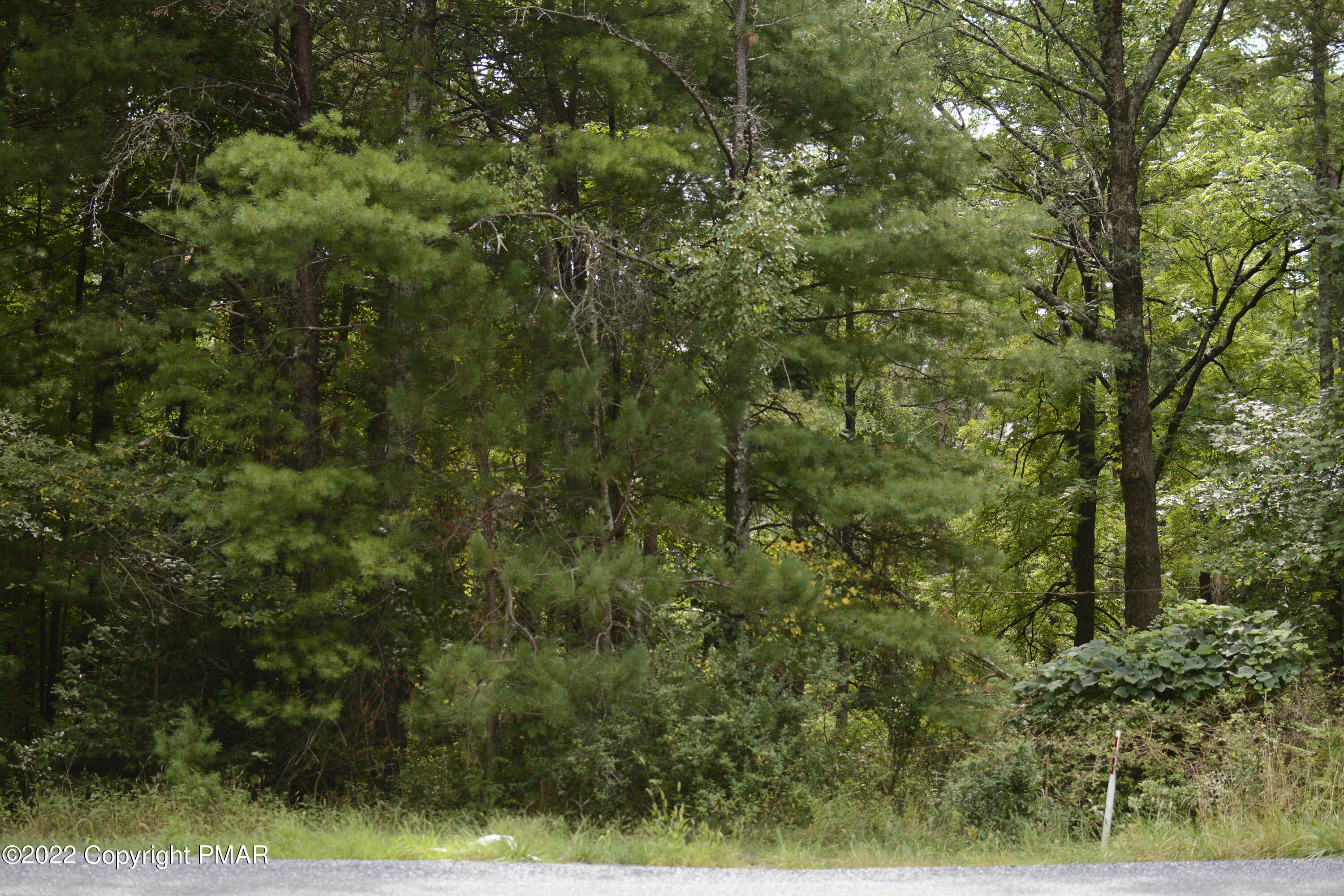 2626 Route 390 Route