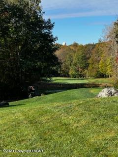 3145 Pine Valley Way