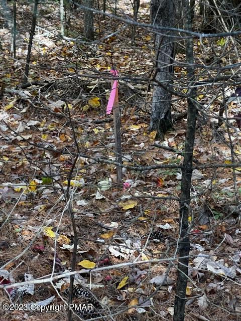 Lot 106 Kinsale Lane