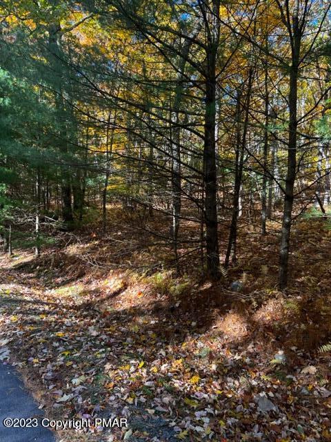 Lot 106 Kinsale Lane