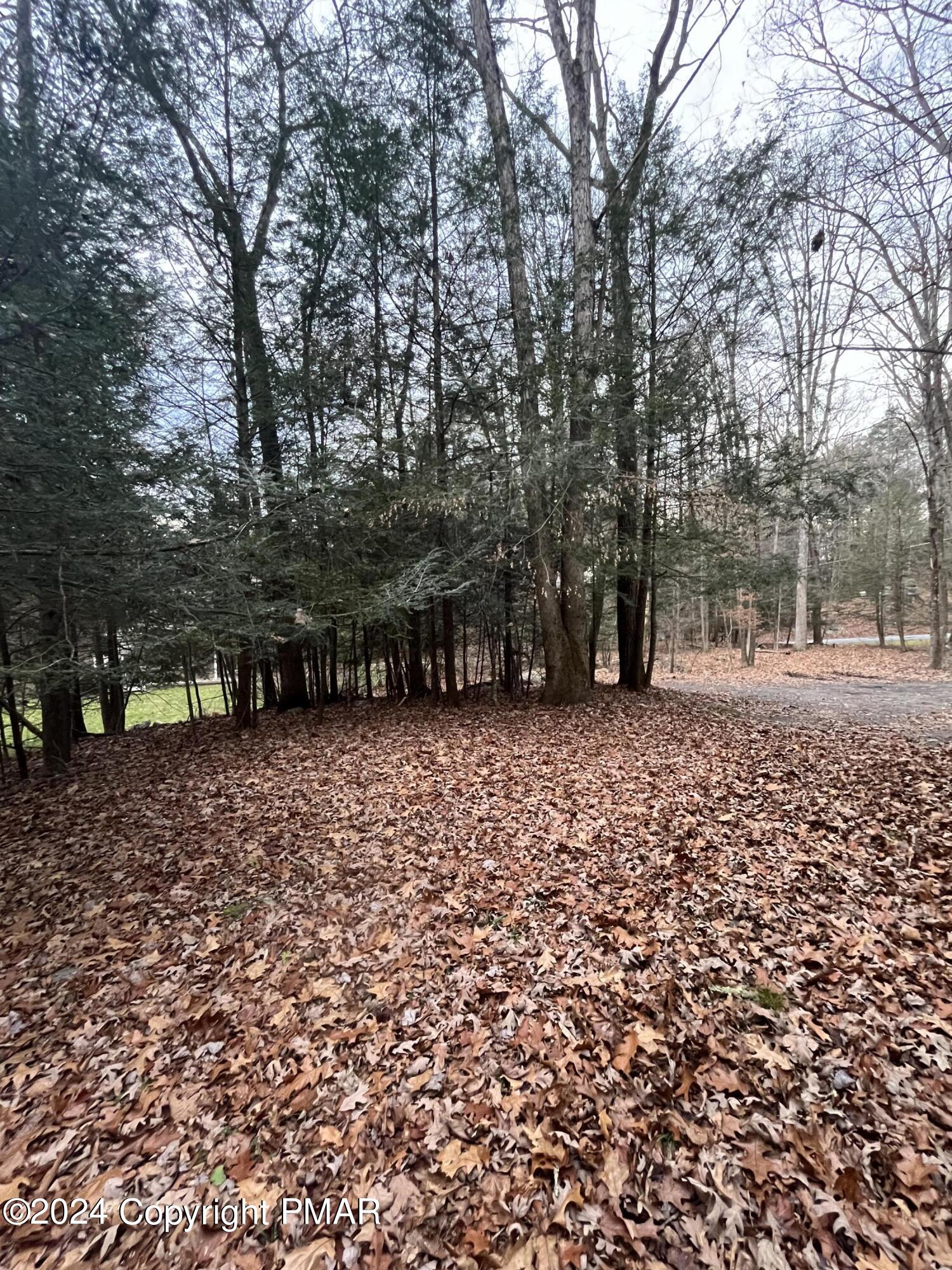 406 ROARING BROOK Road