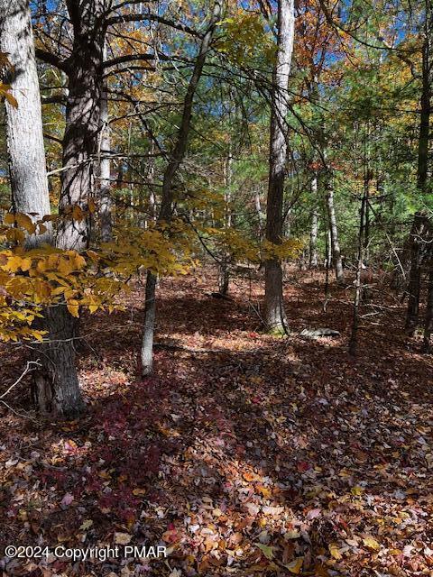 Lot 34 POCONO FORESTED Drive