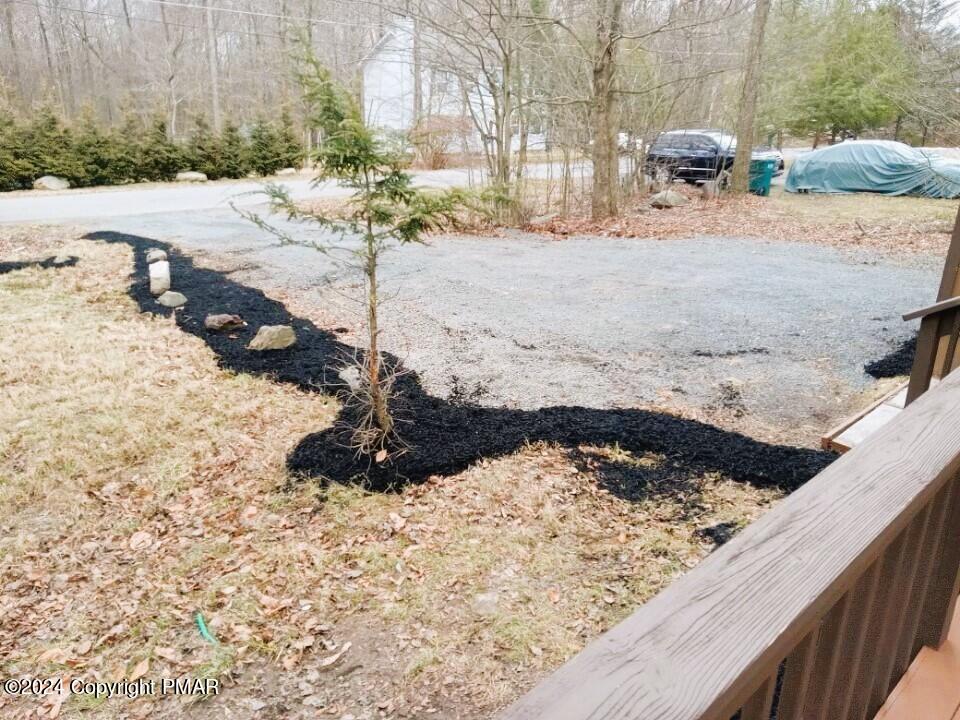 1554 Black Birch Way