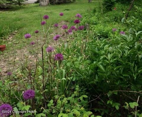 8000 Bear Creek Boulevard