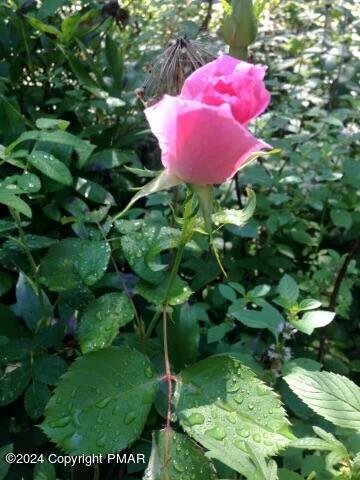 8000 Bear Creek Boulevard