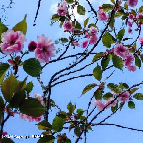 8000 Bear Creek Boulevard