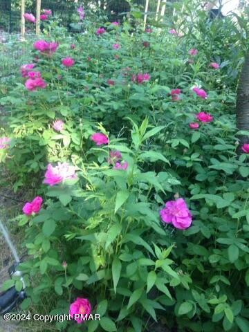 8000 Bear Creek Boulevard