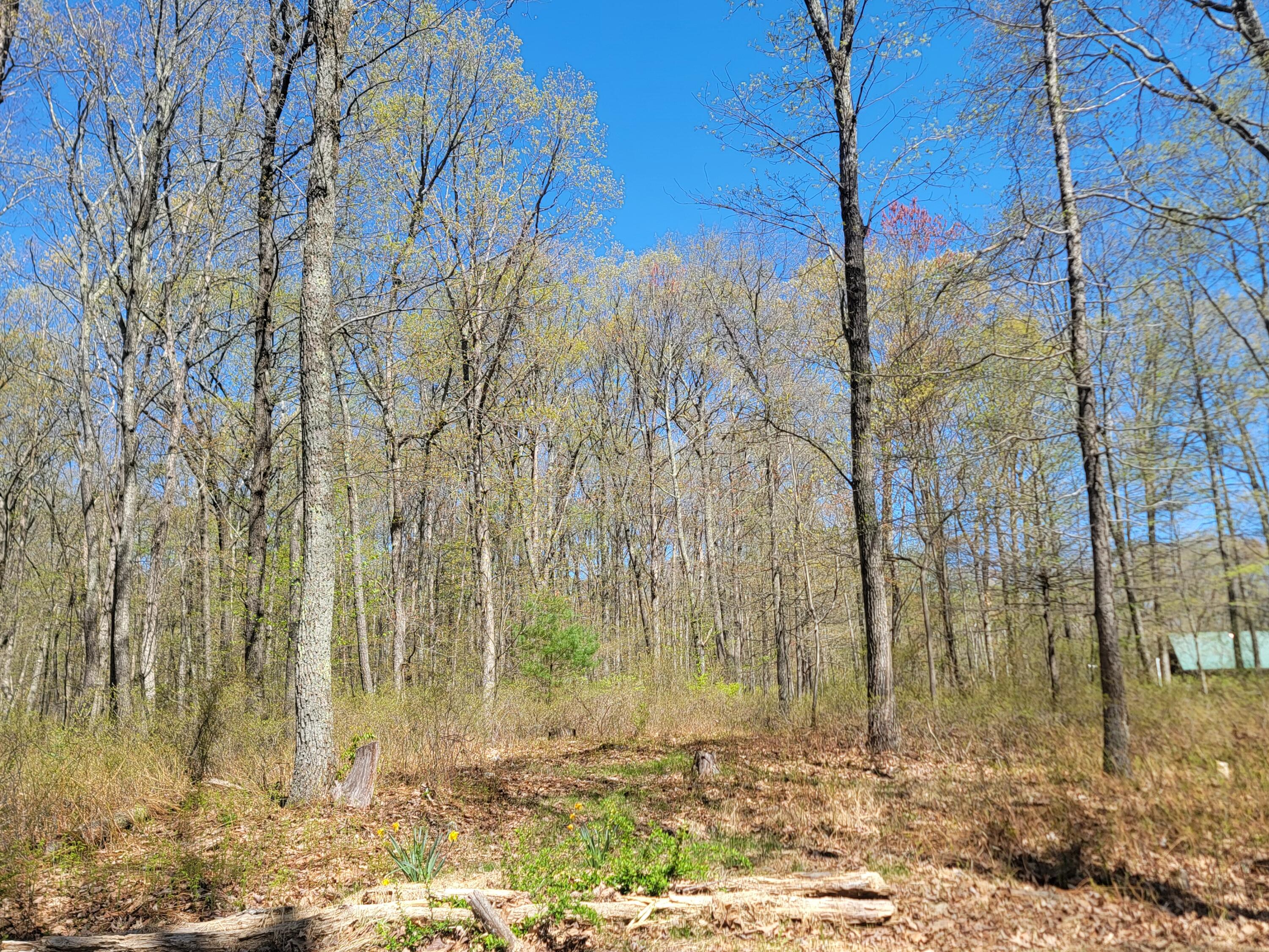 Lot 114 Pohopoco Circle