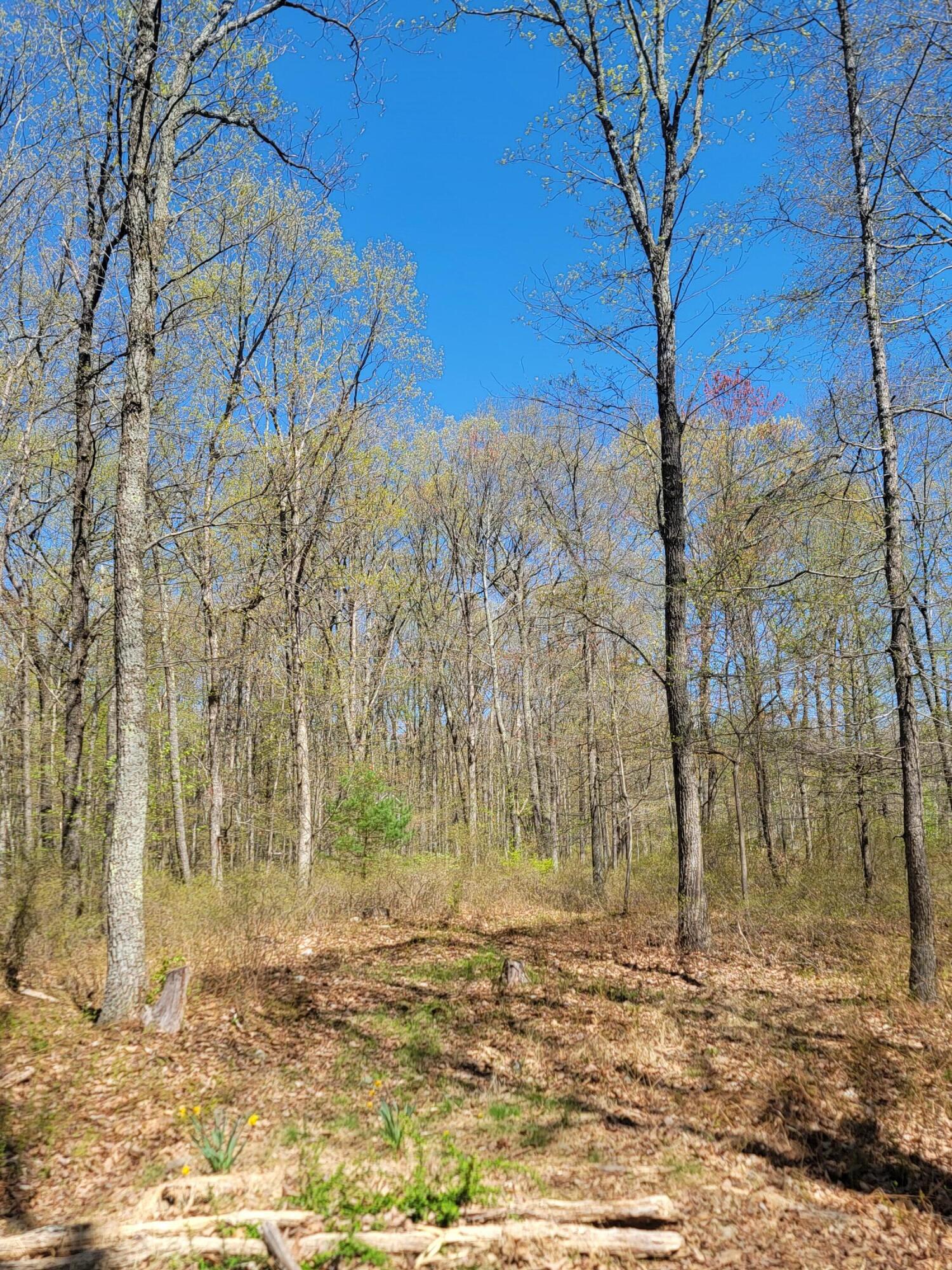 Lot 114 Pohopoco Circle