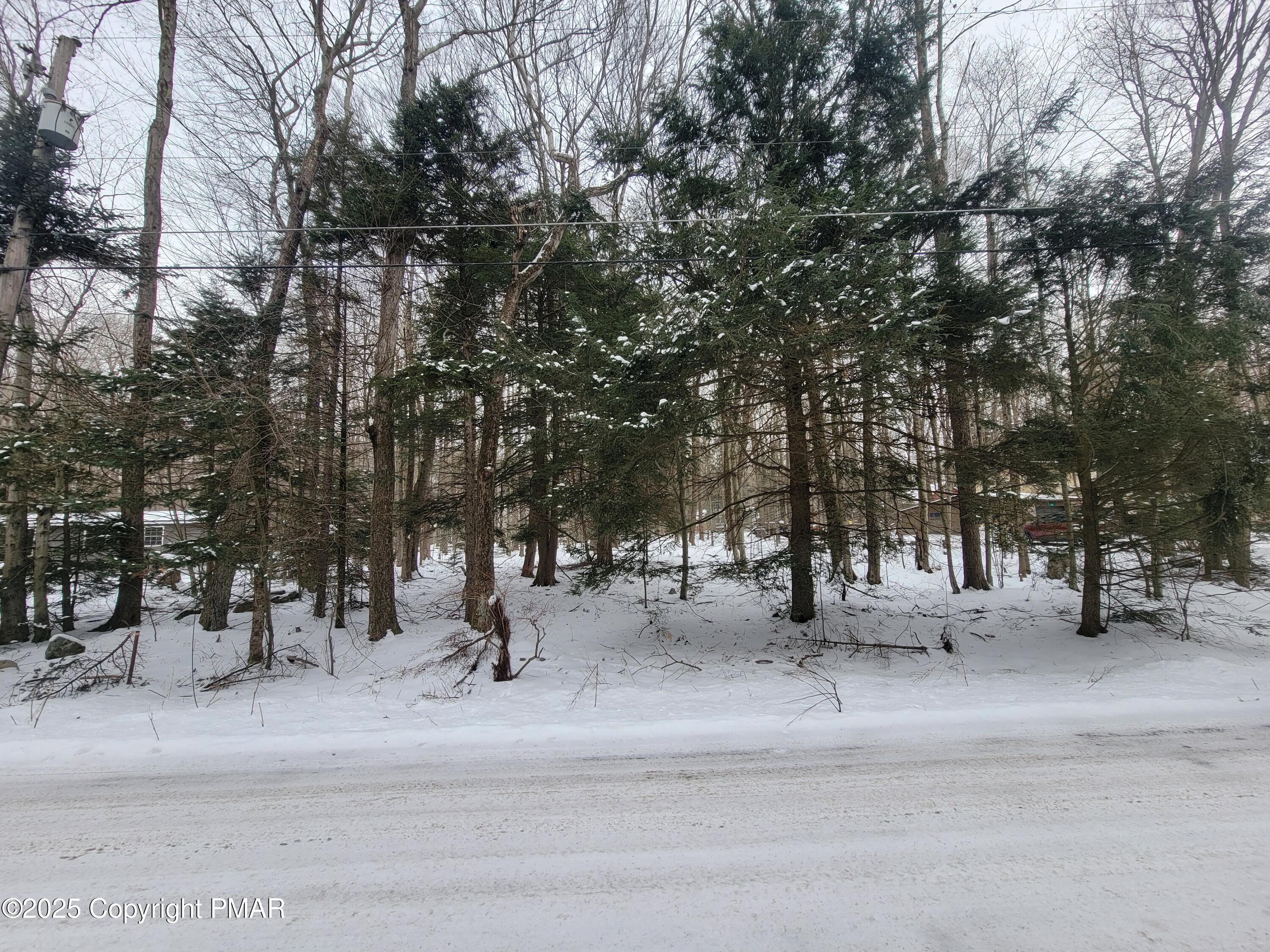 46 ONOCO Drive