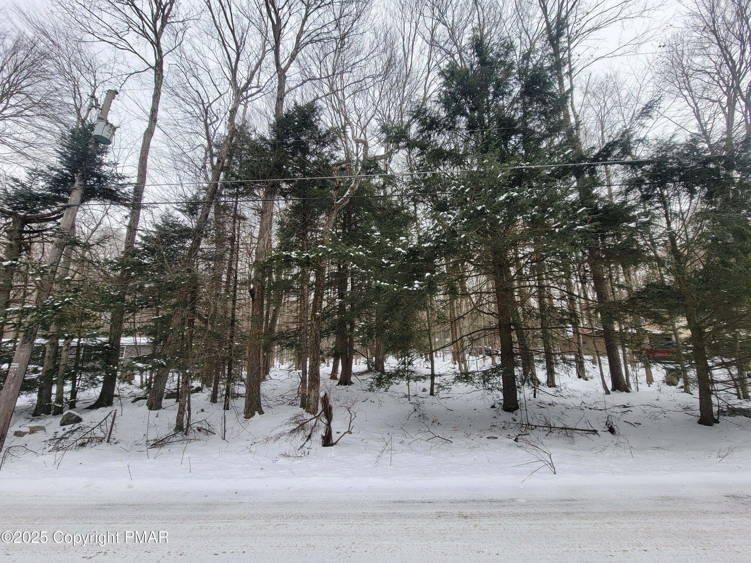 46 ONOCO Drive