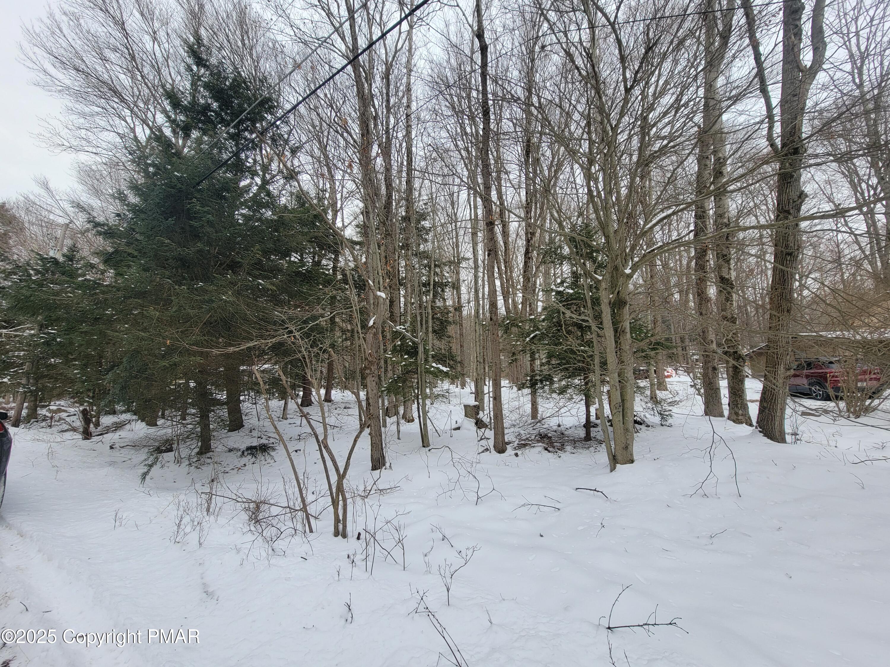 46 ONOCO Drive