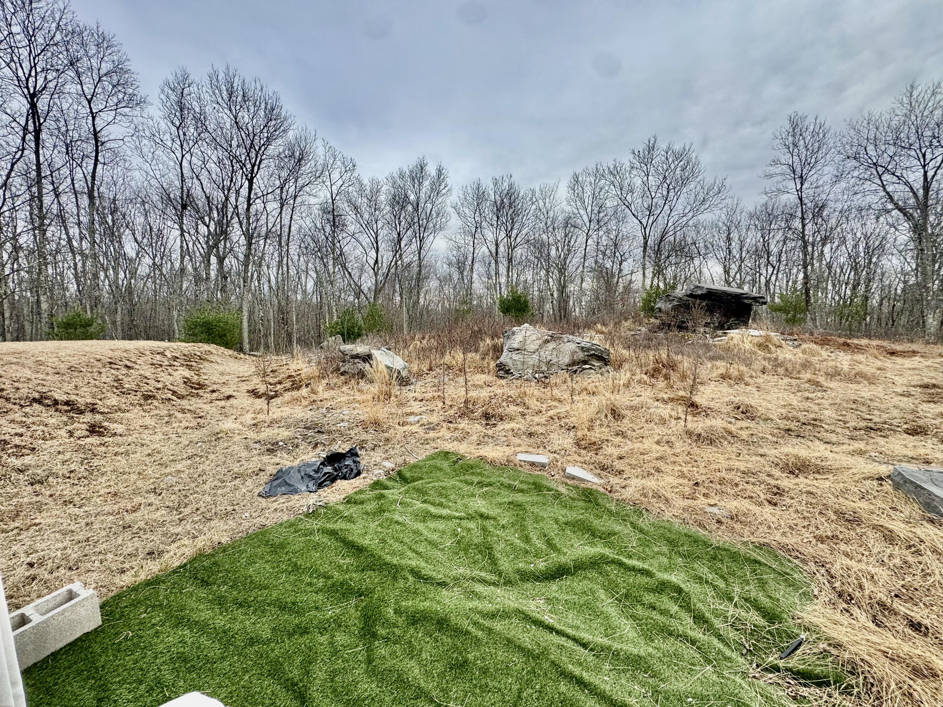 2685 Pocono Forested Drive