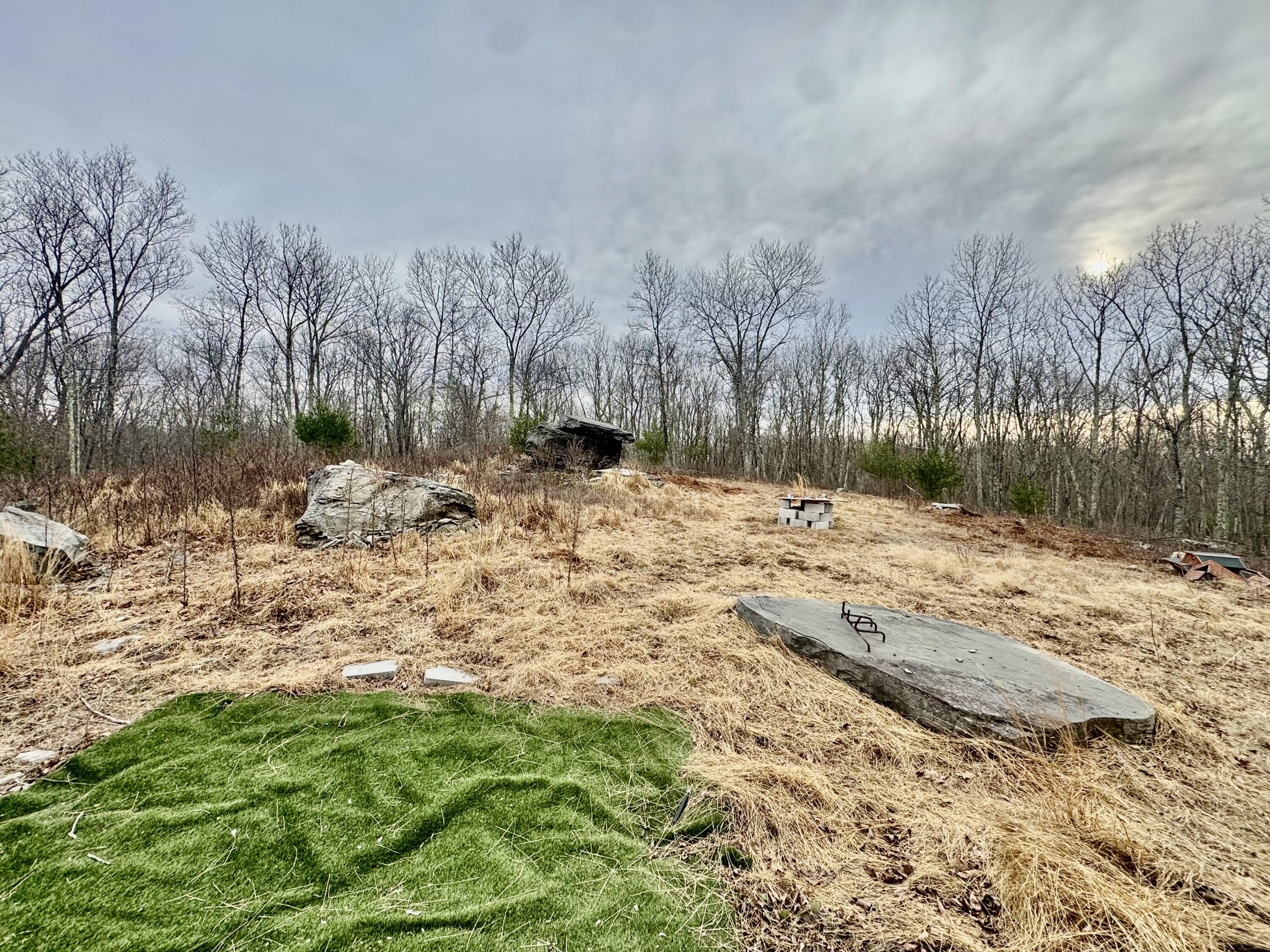 2685 Pocono Forested Drive