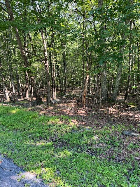 Pocono Forested Dr 22 Drive