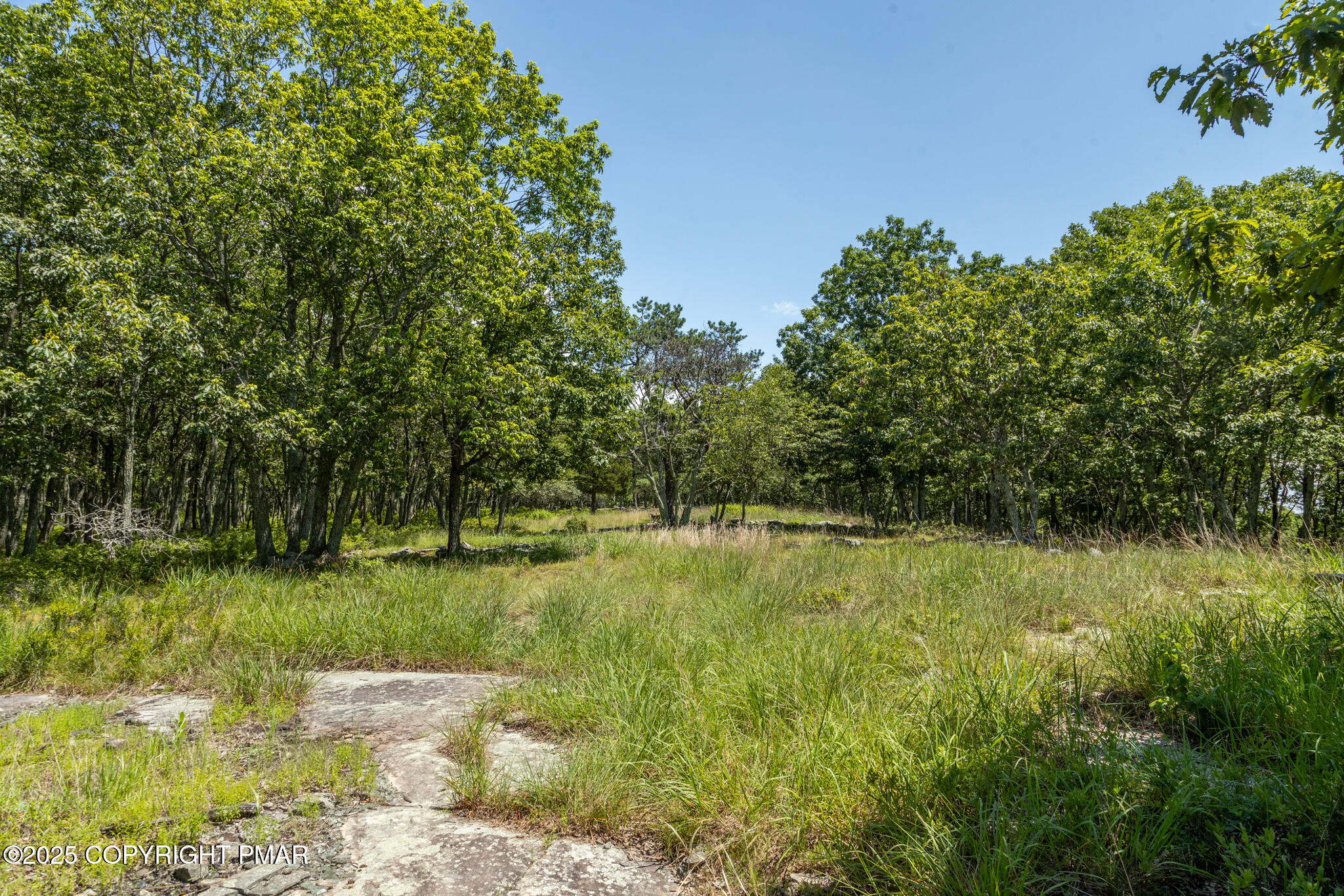 Cottontail Lane