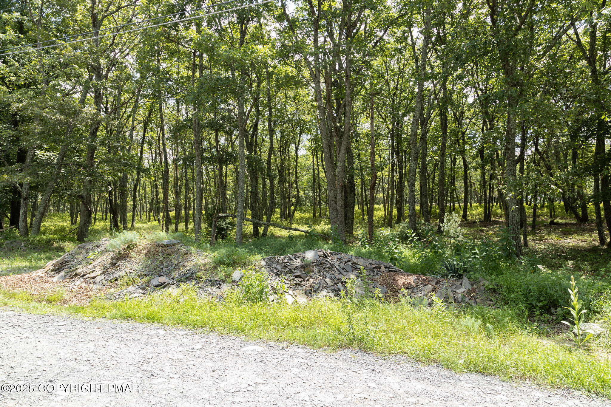 Cottontail Lane