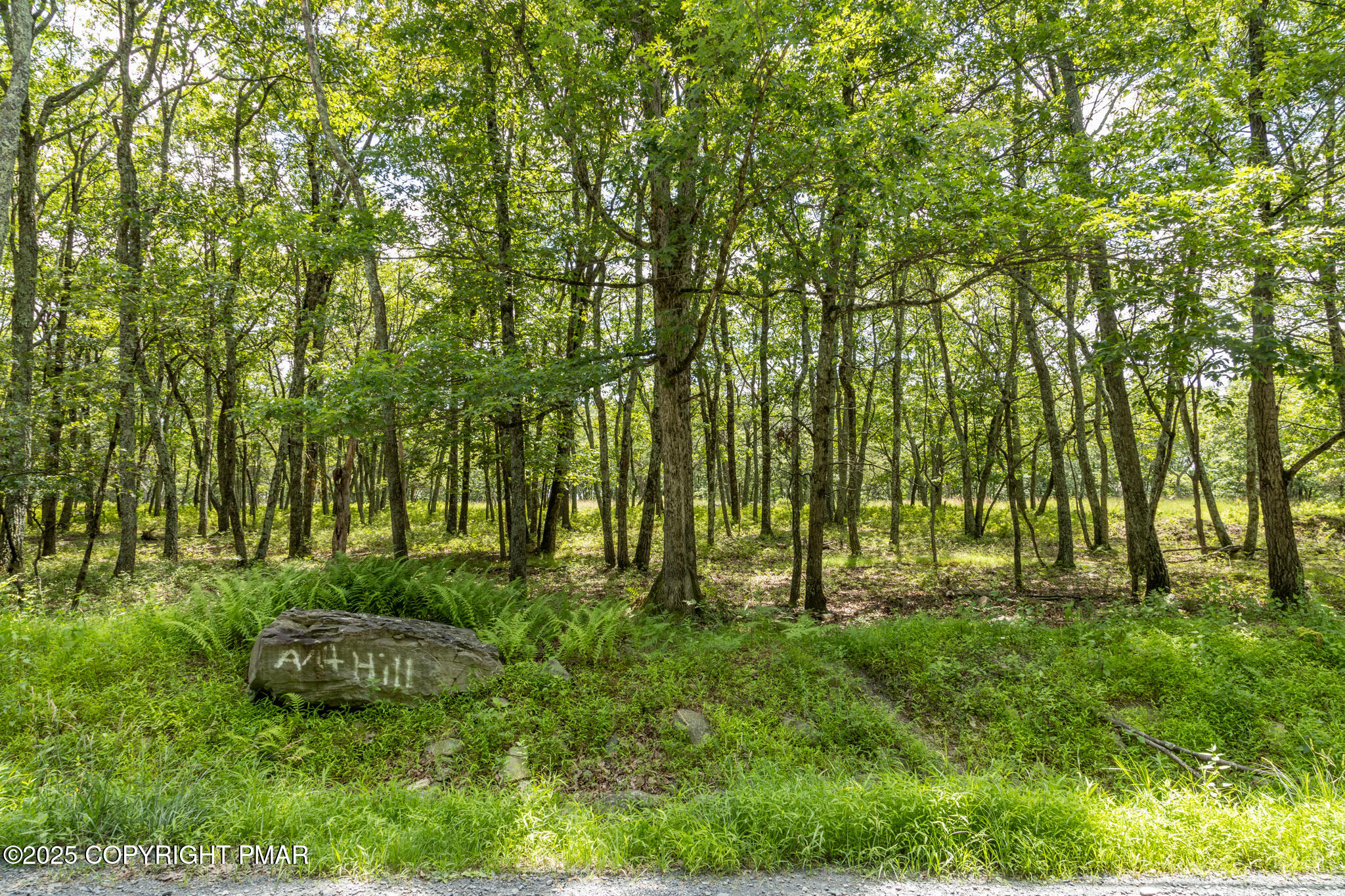 Cottontail Lane