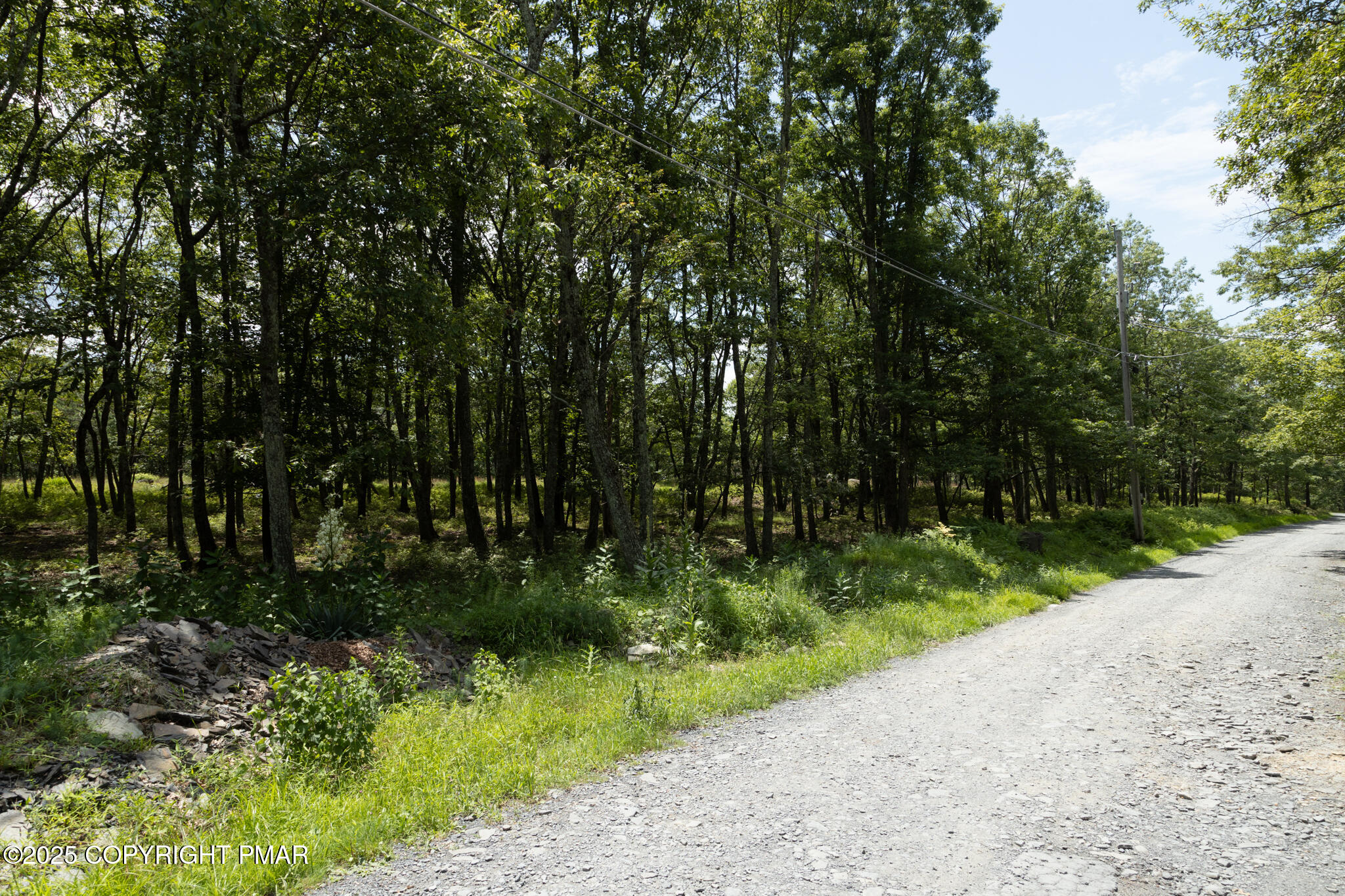 Cottontail Lane