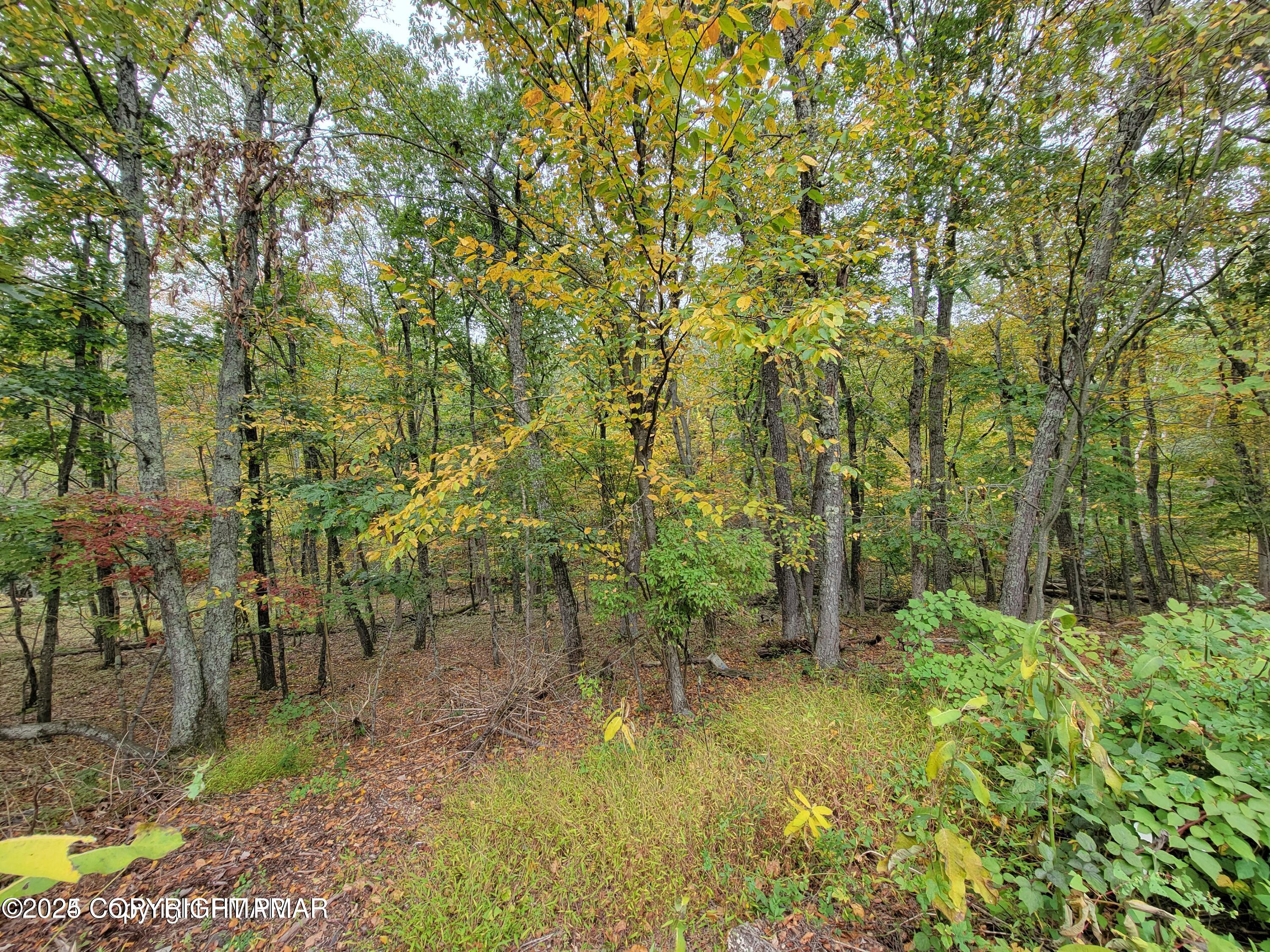 17 Summit Dr 17 Drive, East Stroudsburg