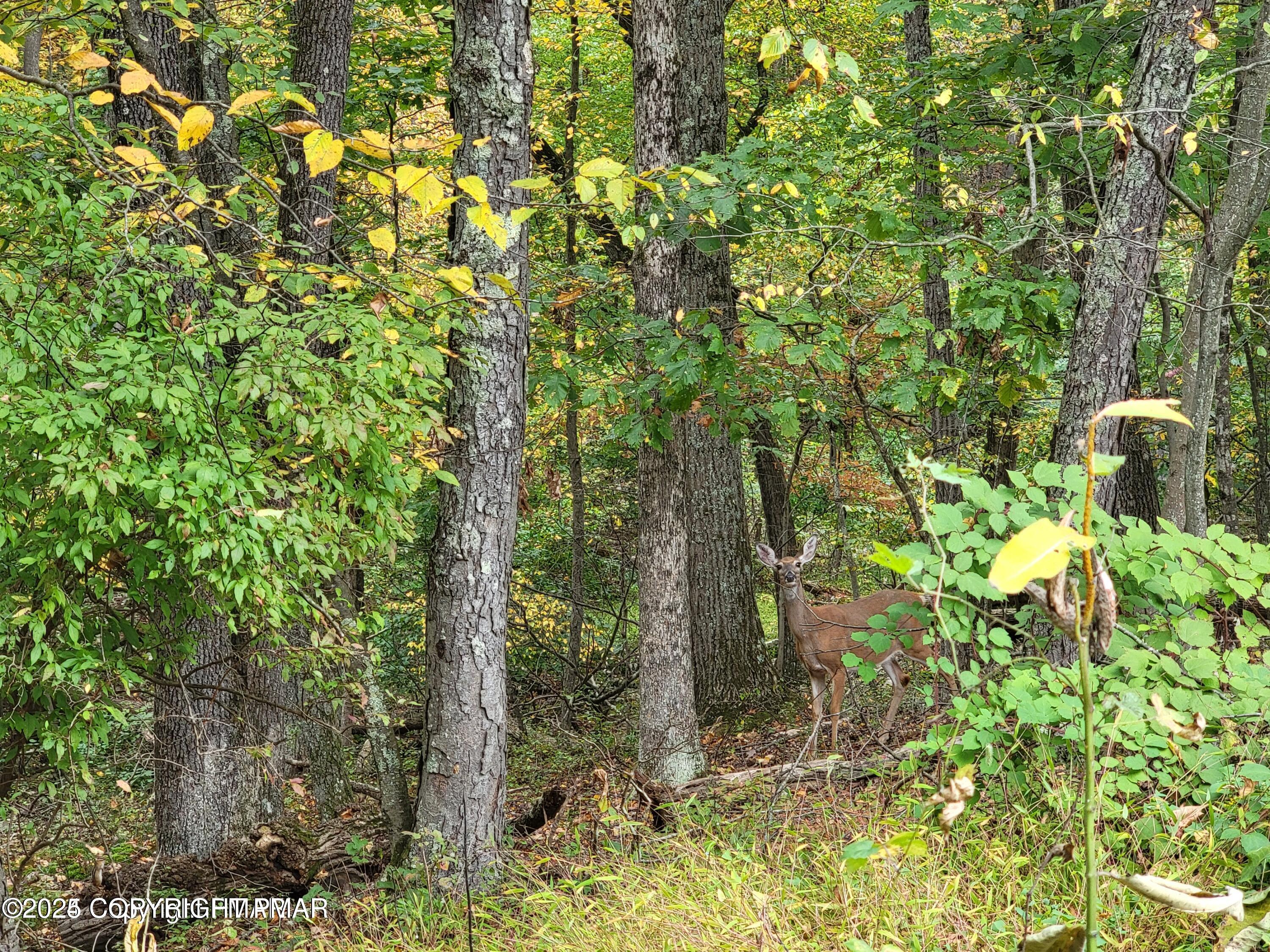 16 & 17 Summit Dr Drive, East Stroudsburg