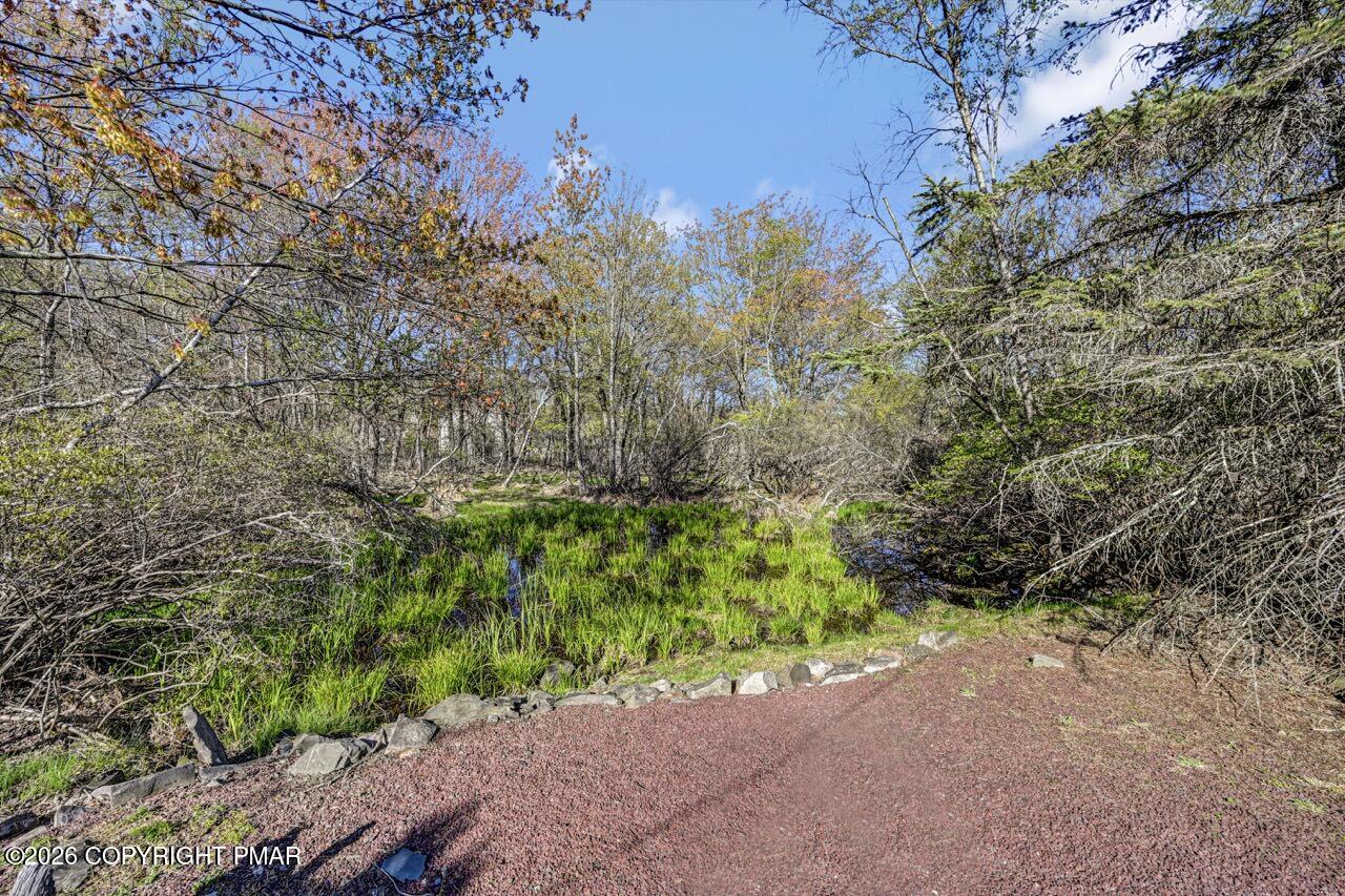 458 Cedar Drive