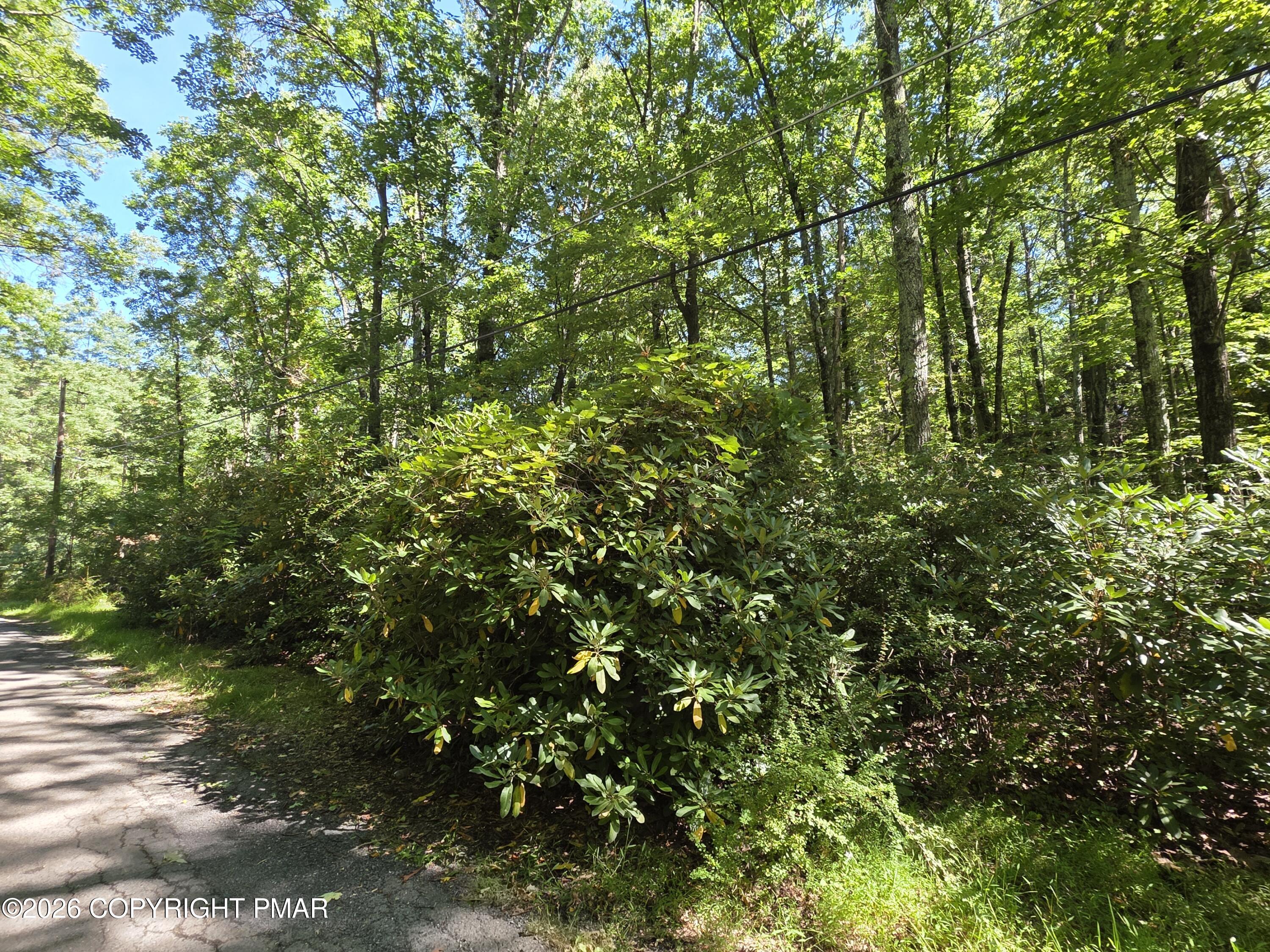 Cameron Rd 285 Road