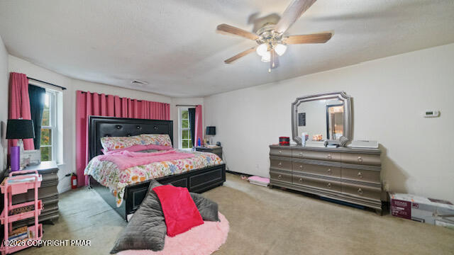 237 Footprint Road