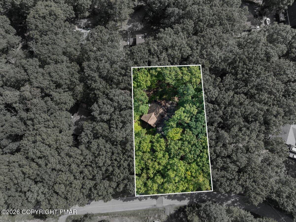 203 Bellingham Drive