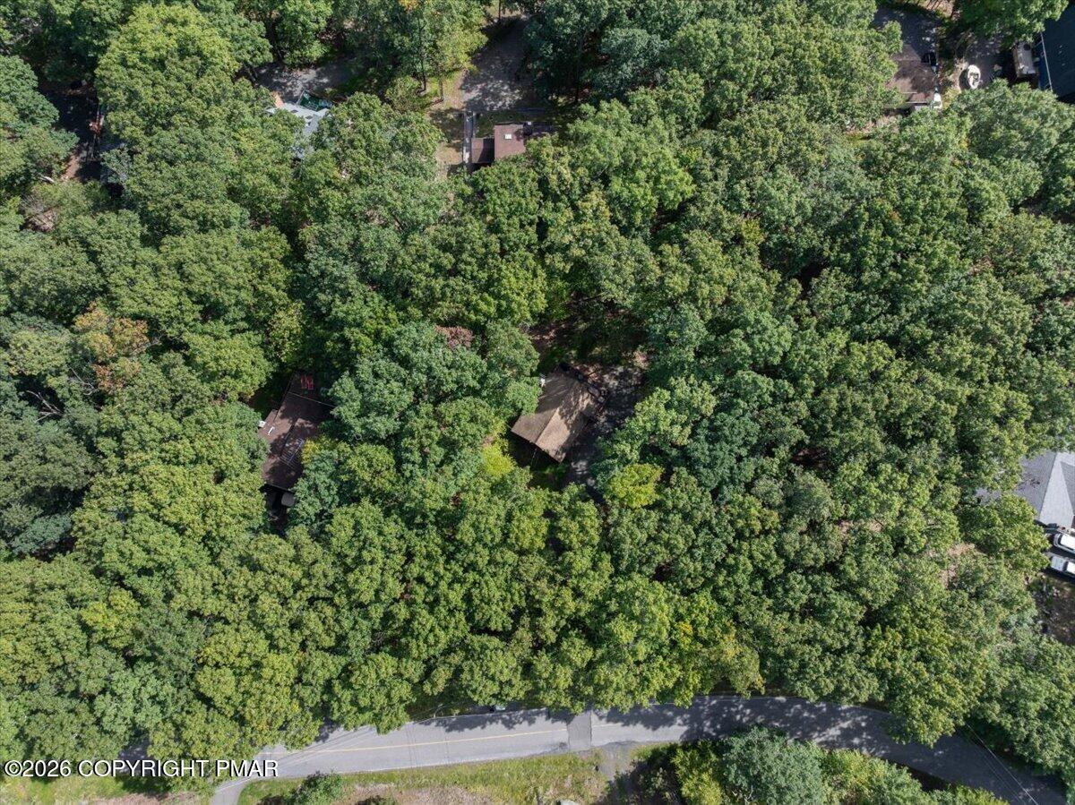 203 Bellingham Drive