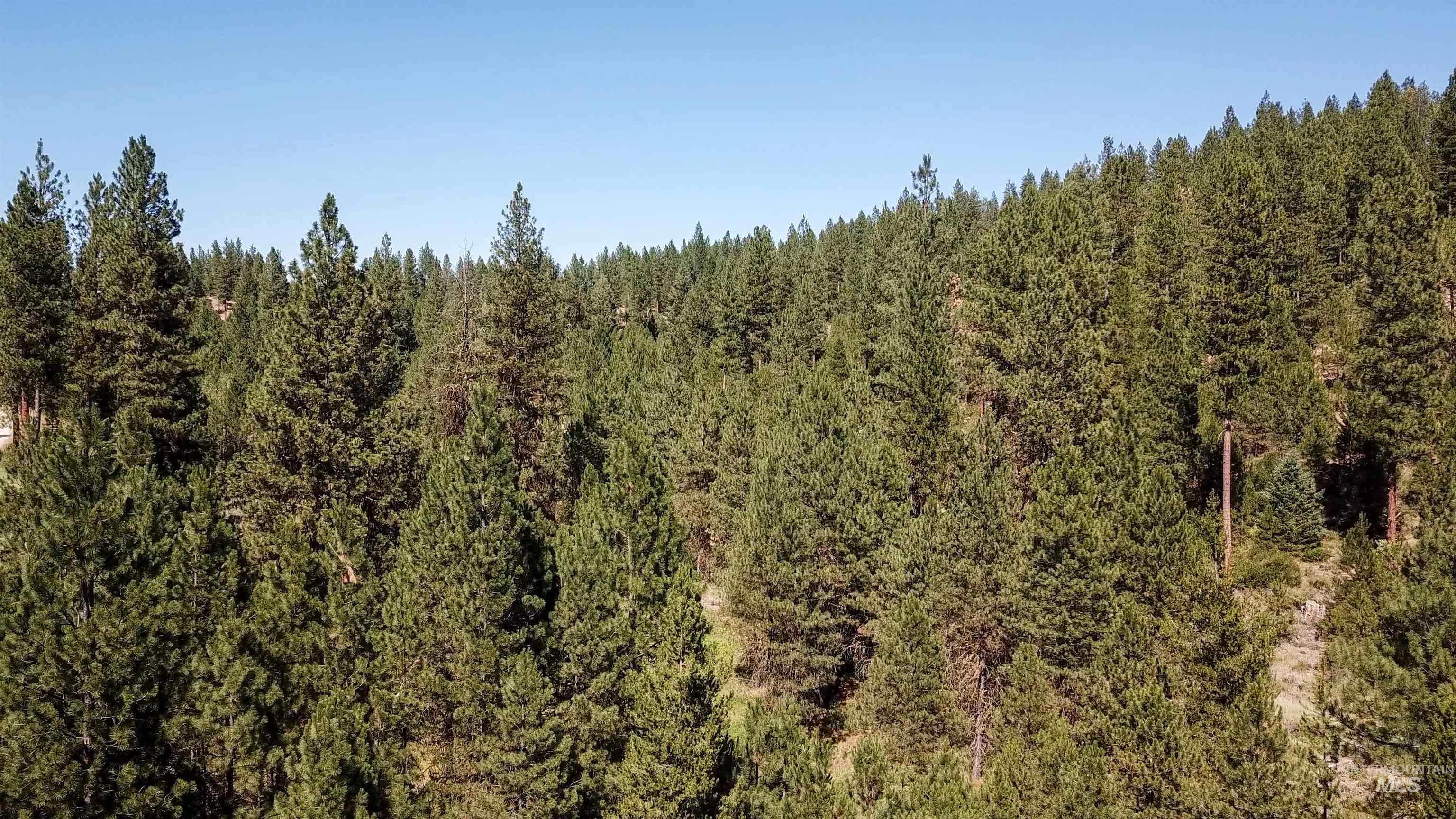 TBD Meadow Creek Drive