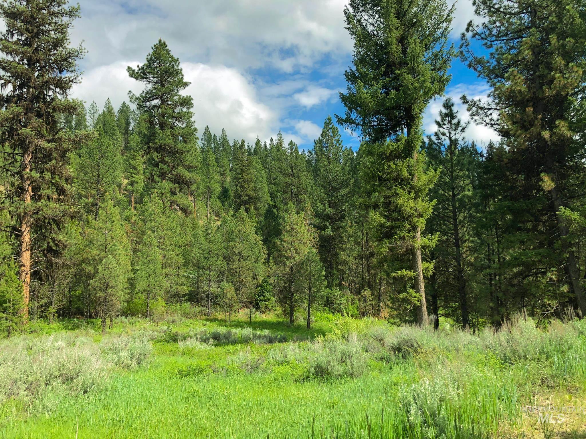 TBD Meadow Creek Drive