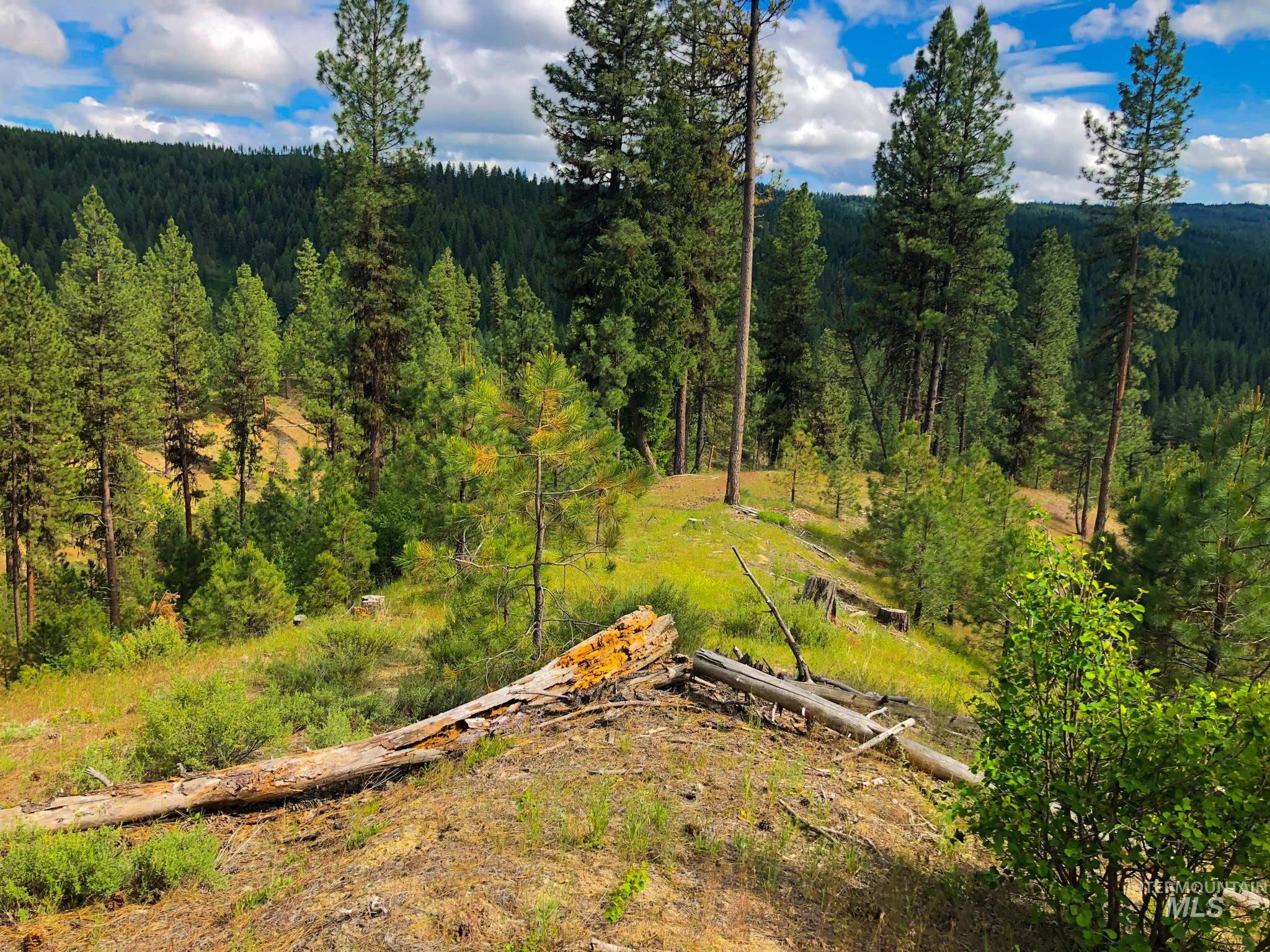 TBD Meadow Creek Drive