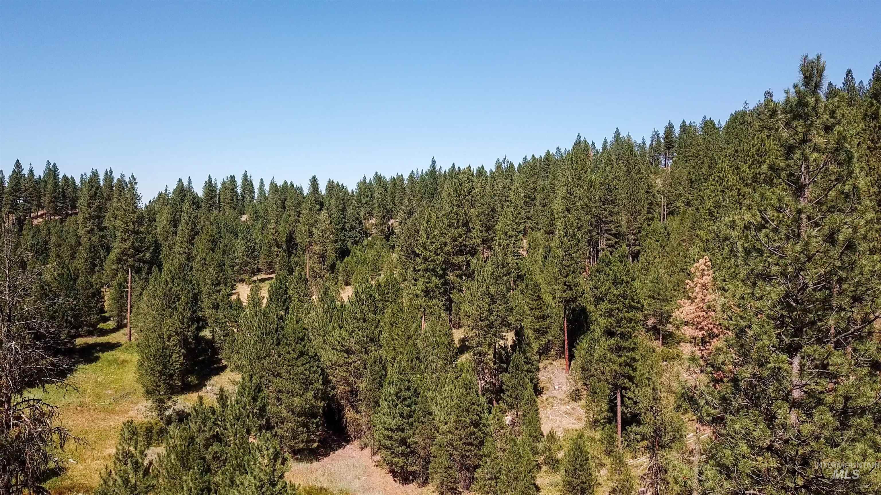 TBD Meadow Creek Drive