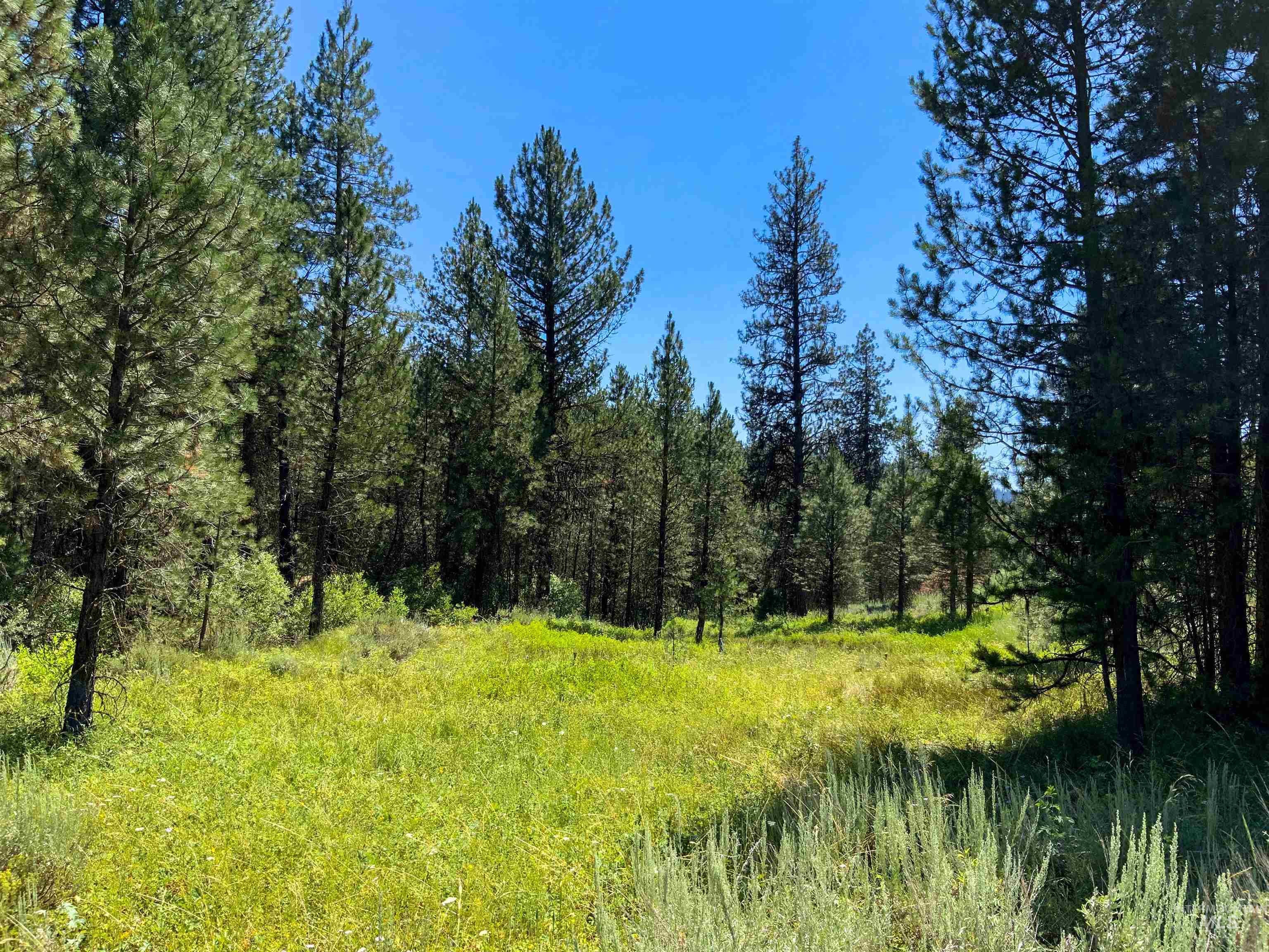 TBD Meadow Creek Drive