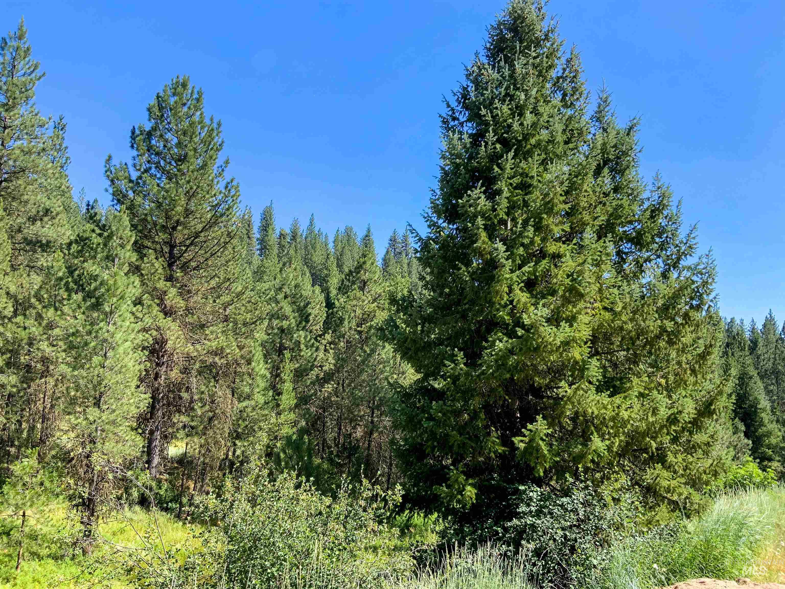 TBD Meadow Creek Drive