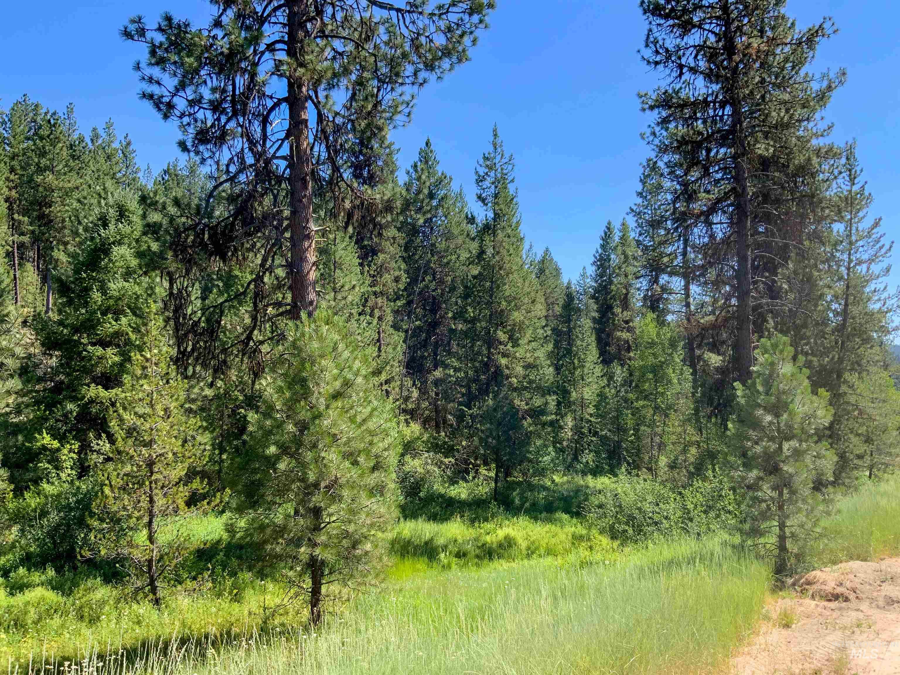 TBD Meadow Creek Drive