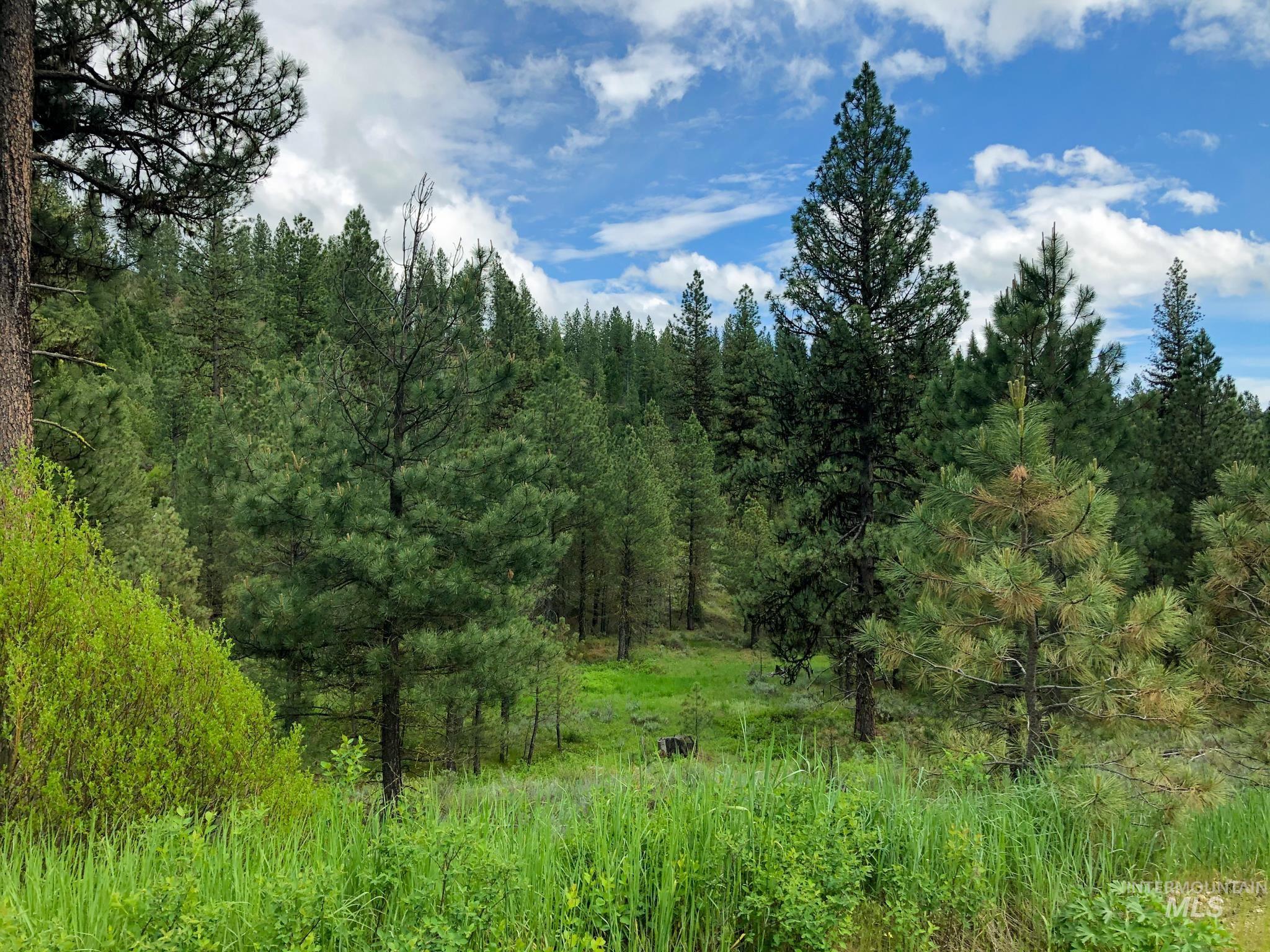 TBD Meadow Creek Drive